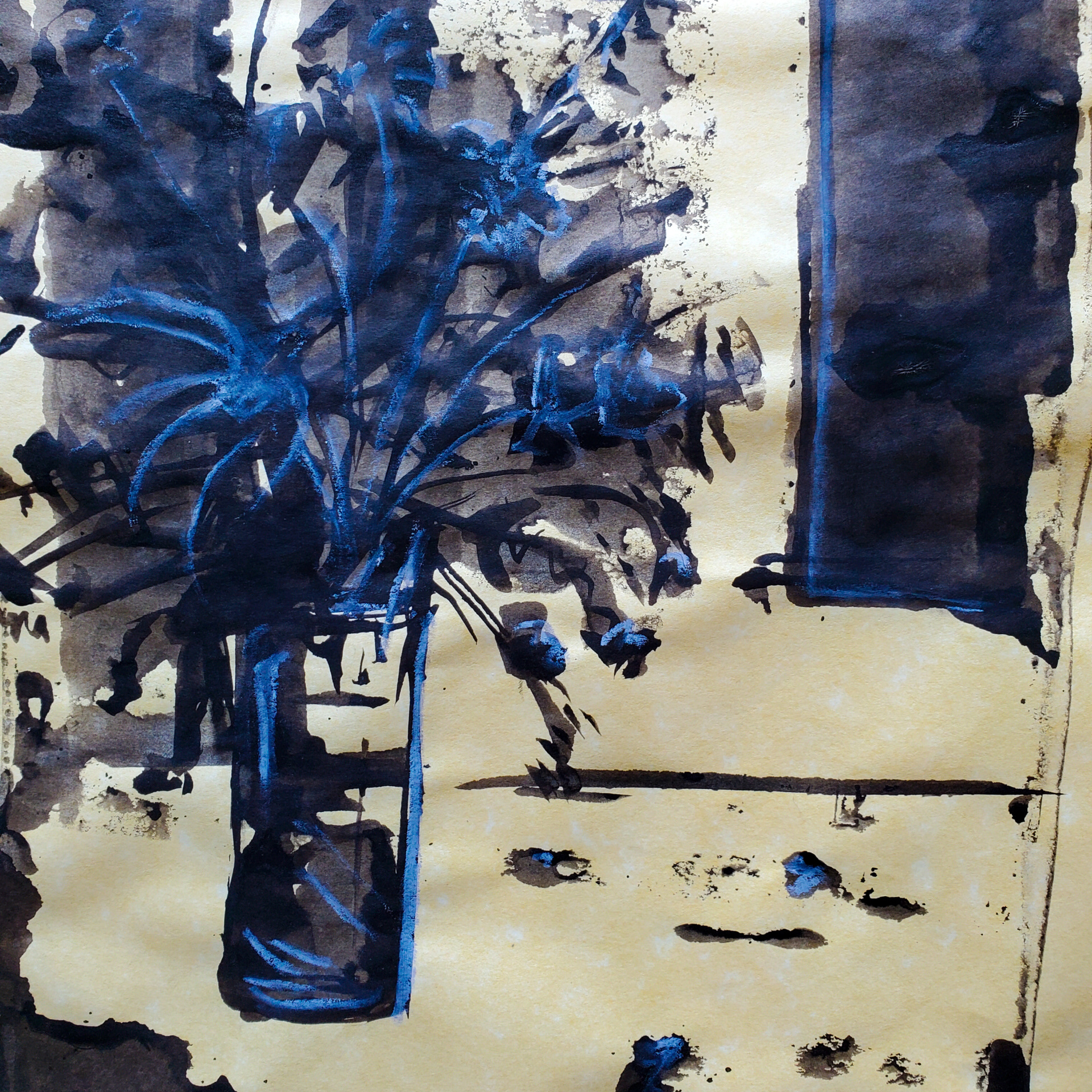 LIMITED SERIES | Still Life Stills