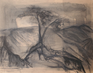 The Story Of Essence | #6