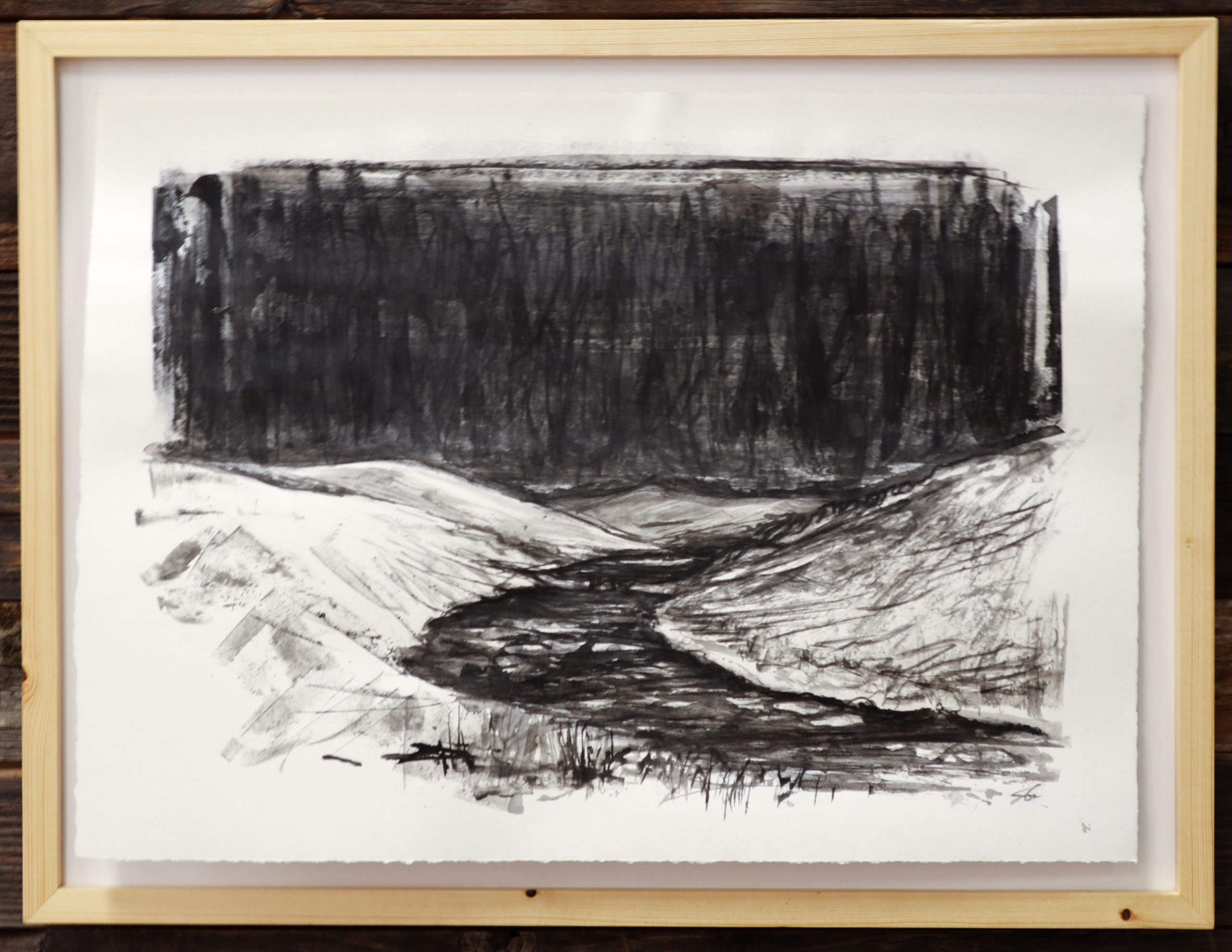 Memorandum #9 | Spring's symphony of rejuvenation bellows at the river's edge