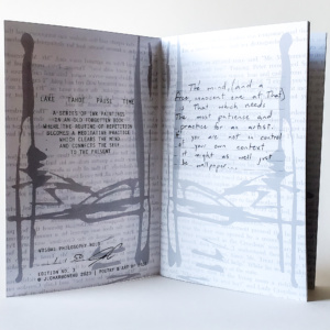 "LAKE TAHOE PAUSE TIME" Visual Philosophy Zine | NO.3