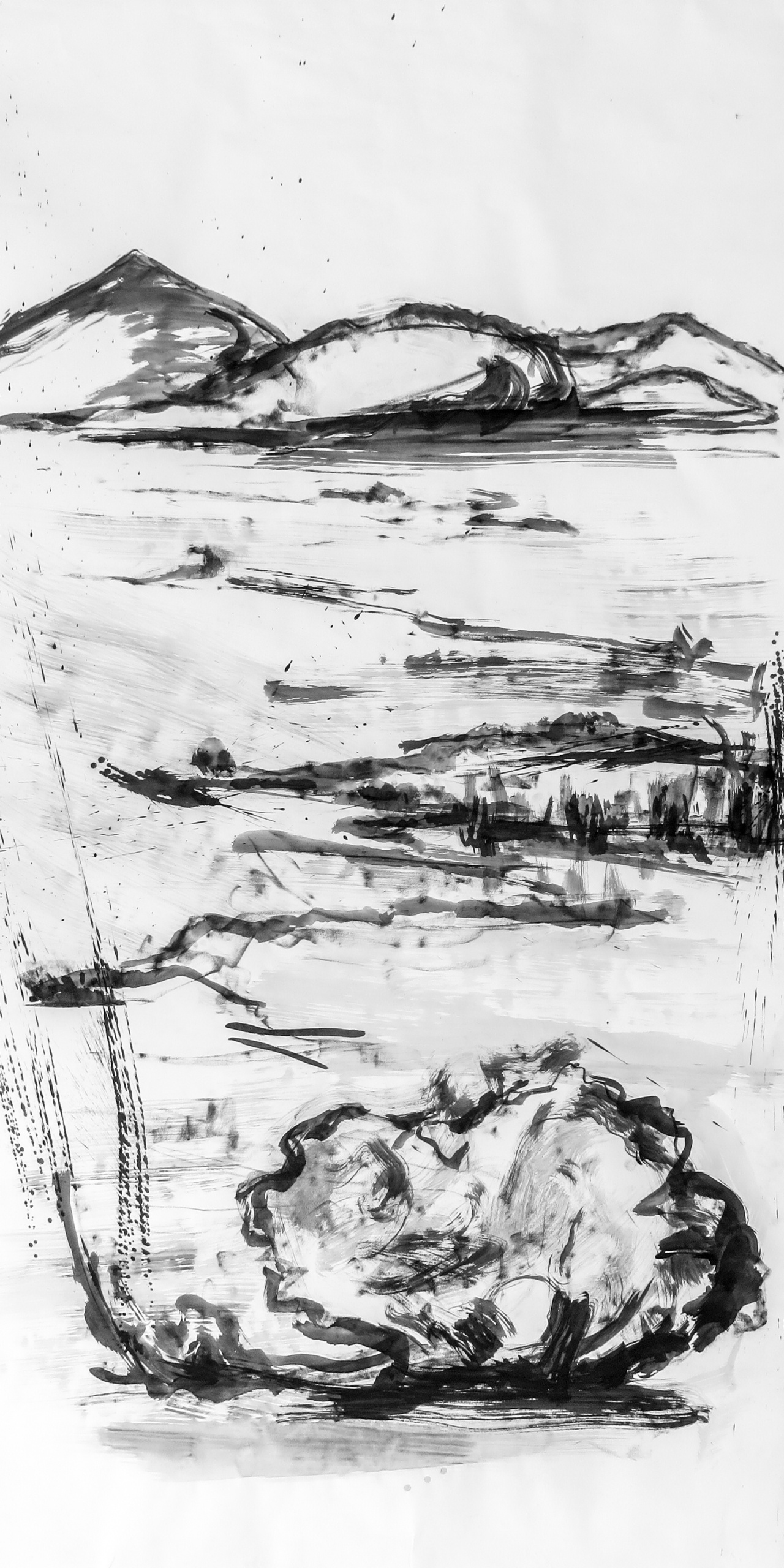 Searching For Harmony & Essence 14/15